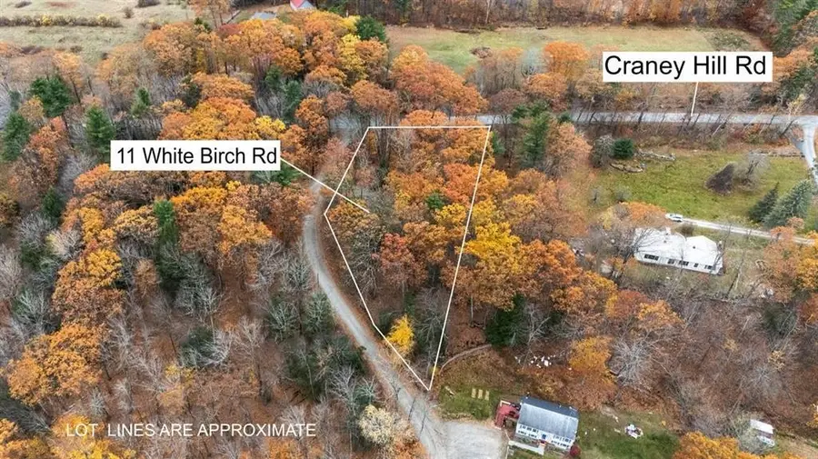 11 White Birch Road, Henniker, NH 03242 - #2