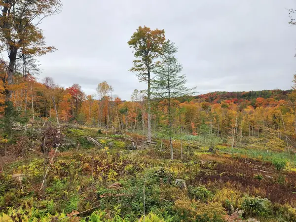 0 Sunset Drive #3, Morgan, VT 05853