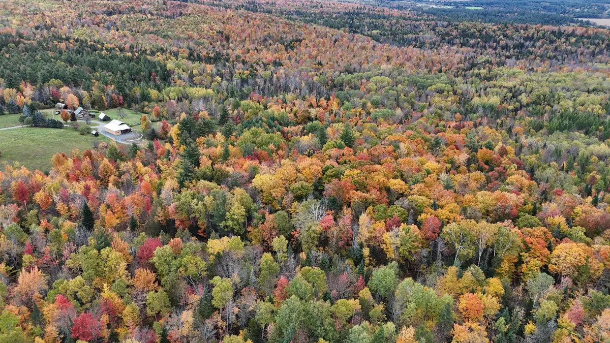 00 Fellows Road, Guildhall, VT 05906 - #1