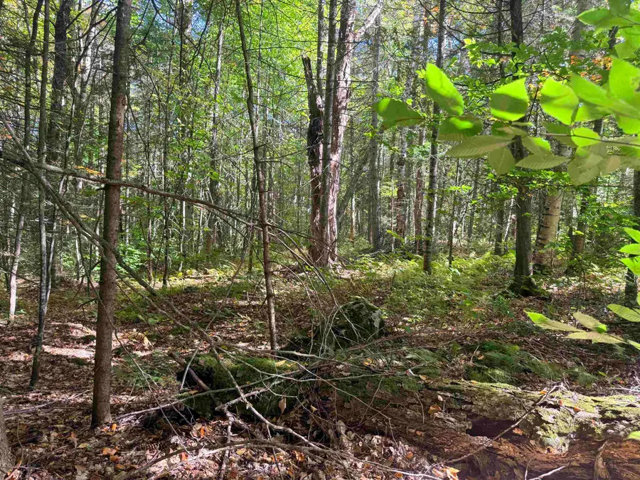 00 Fellows Road, Guildhall, VT 05906 - #3