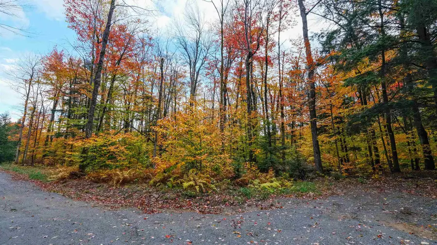 0 Burdock Lane #7, Ludlow, VT 05149 - #3