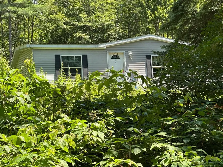 115 Valley Cemetery Road, Athens, VT 05143 - #2
