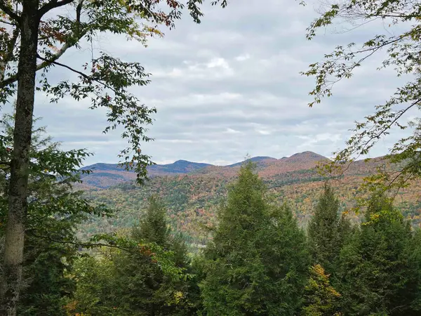 2925 River Road, Duxbury, VT 05671