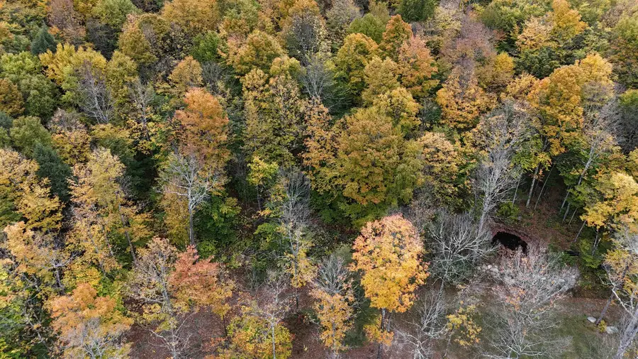 2925 River Road, Duxbury, VT 05671 - #3