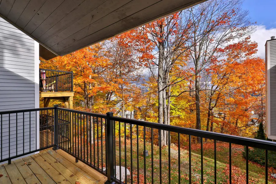 88 Okemo Trailside Extension #12D, Ludlow, VT 05149 - #2