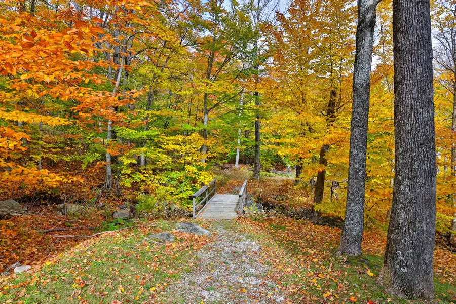 88 Okemo Trailside Extension #12D, Ludlow, VT 05149 - #3