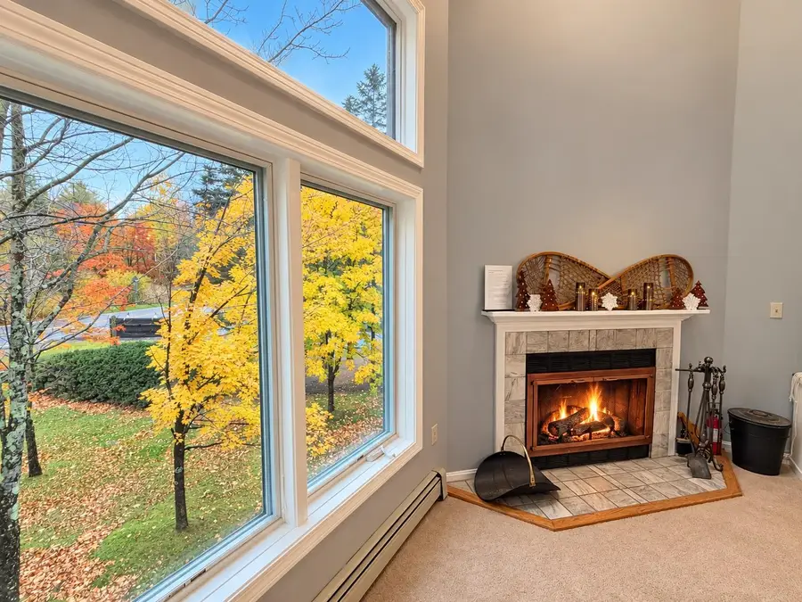 6F Deer Creek Road, Dover, VT 05356 - #2