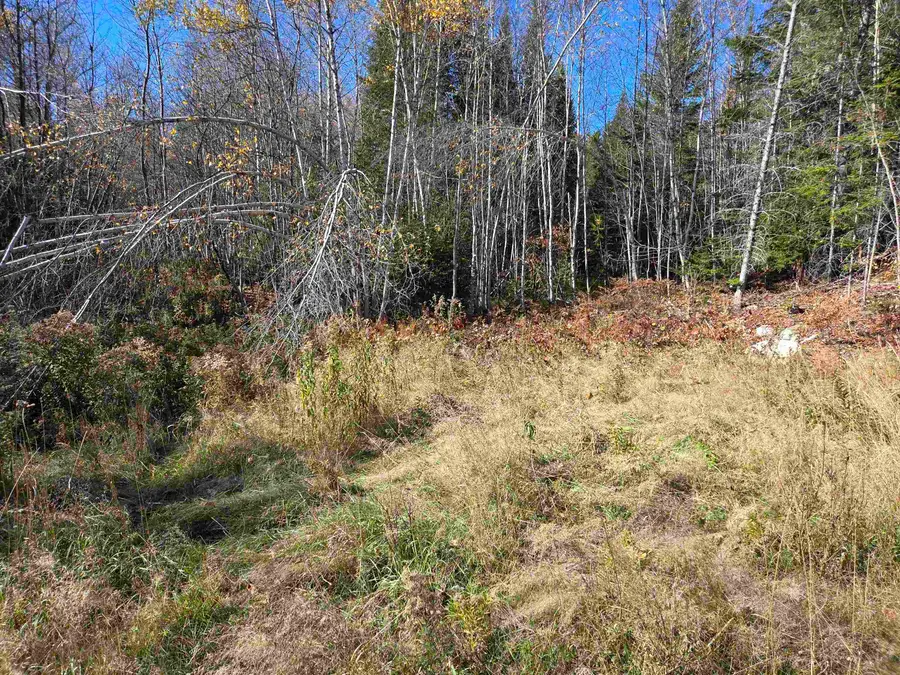 0 Bell Hill Road, Stark, NH 03582 - #3