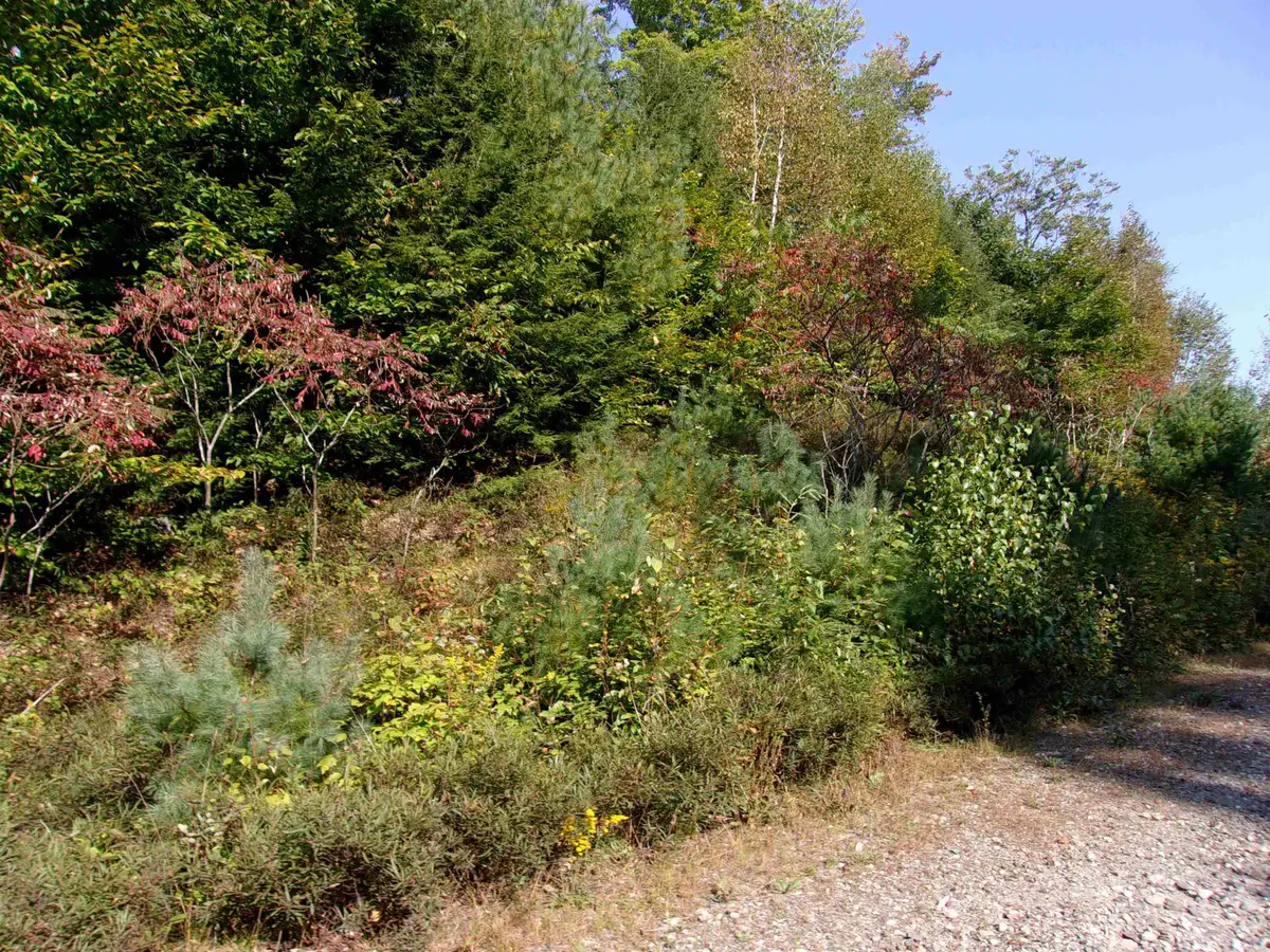 Fenn Way Circle #29, Bath, NH 03740 - #1