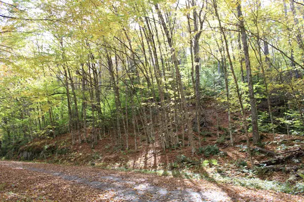 0 Timbercrest Road #25, Stockbridge, VT 05772