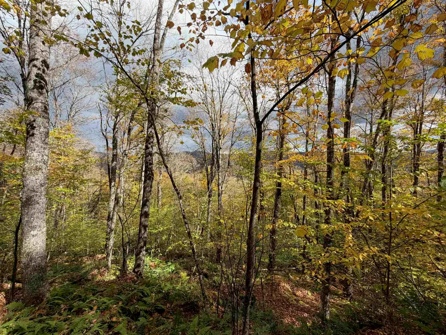 0 Timbercrest Road #25, Stockbridge, VT 05772 - #2