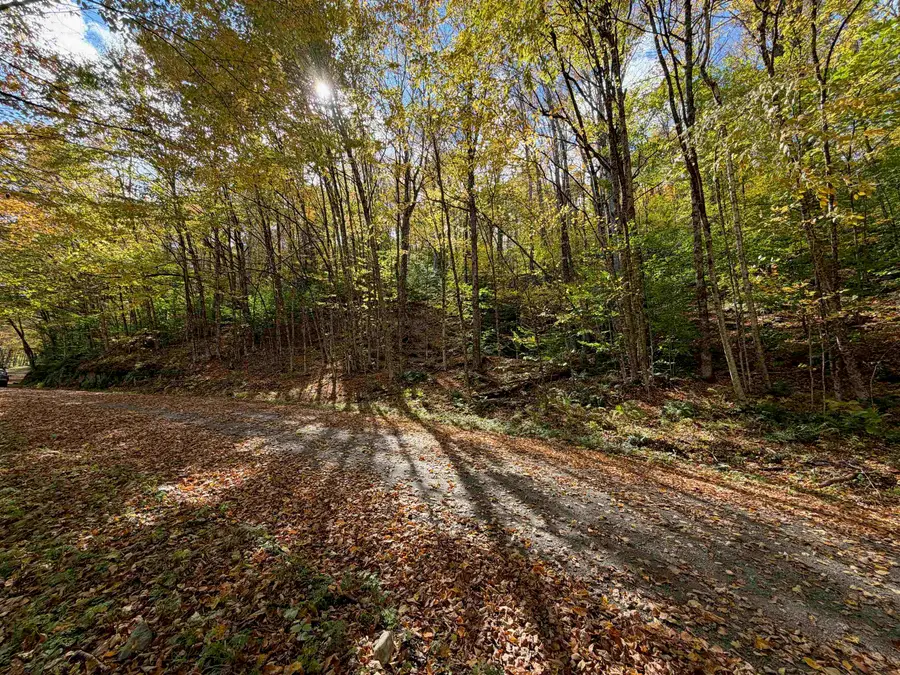 0 Timbercrest Road #25, Stockbridge, VT 05772 - #3