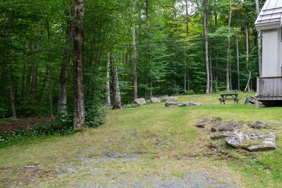 7 Roundtree Road, Winhall, VT 05340 - #3