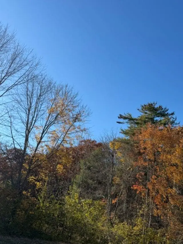 0 Hall Farm Road, Atkinson, NH 03811 - #3