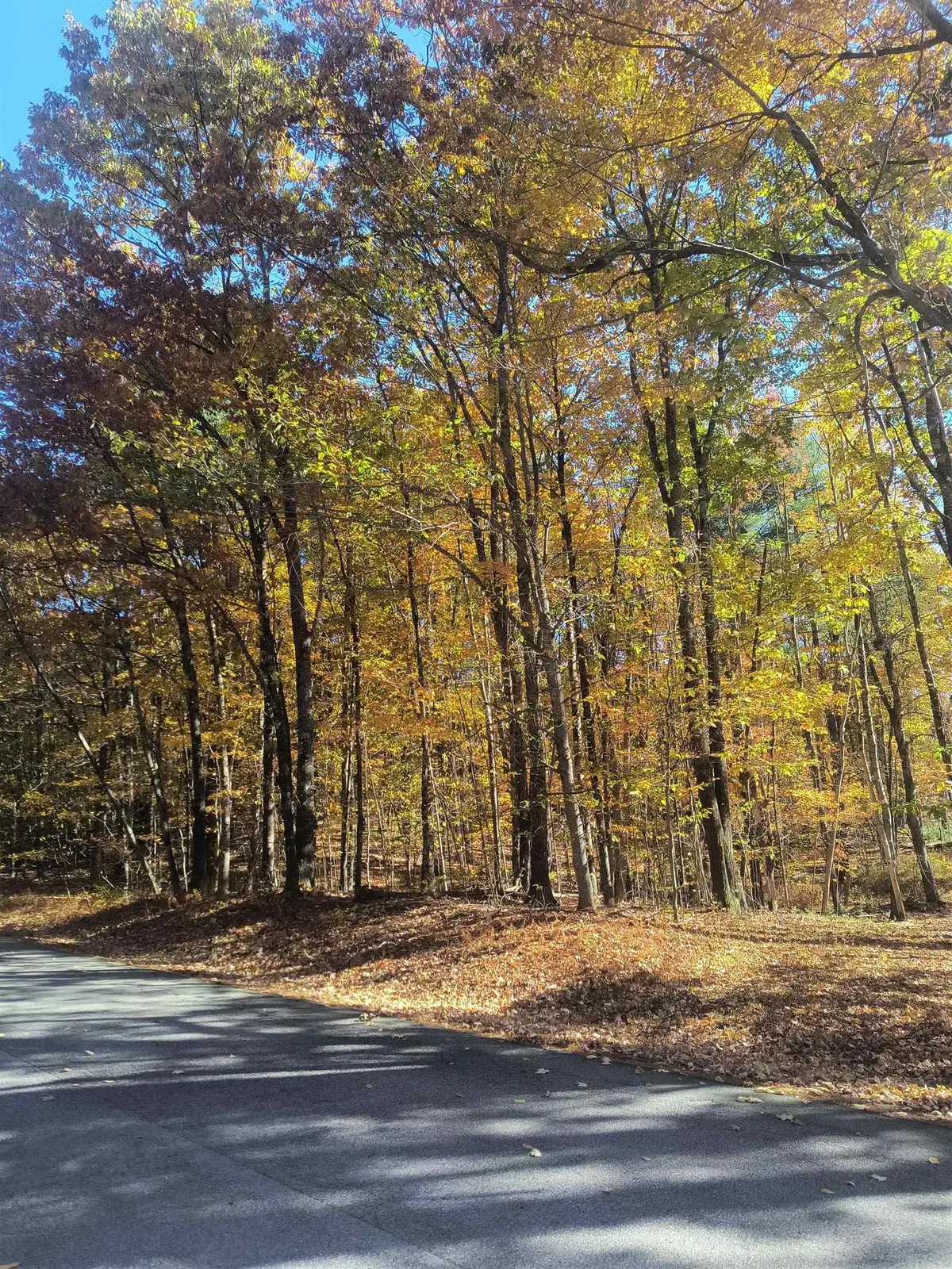 Map 8 Lot 77 Province Road, Strafford, NH 03884 - #1