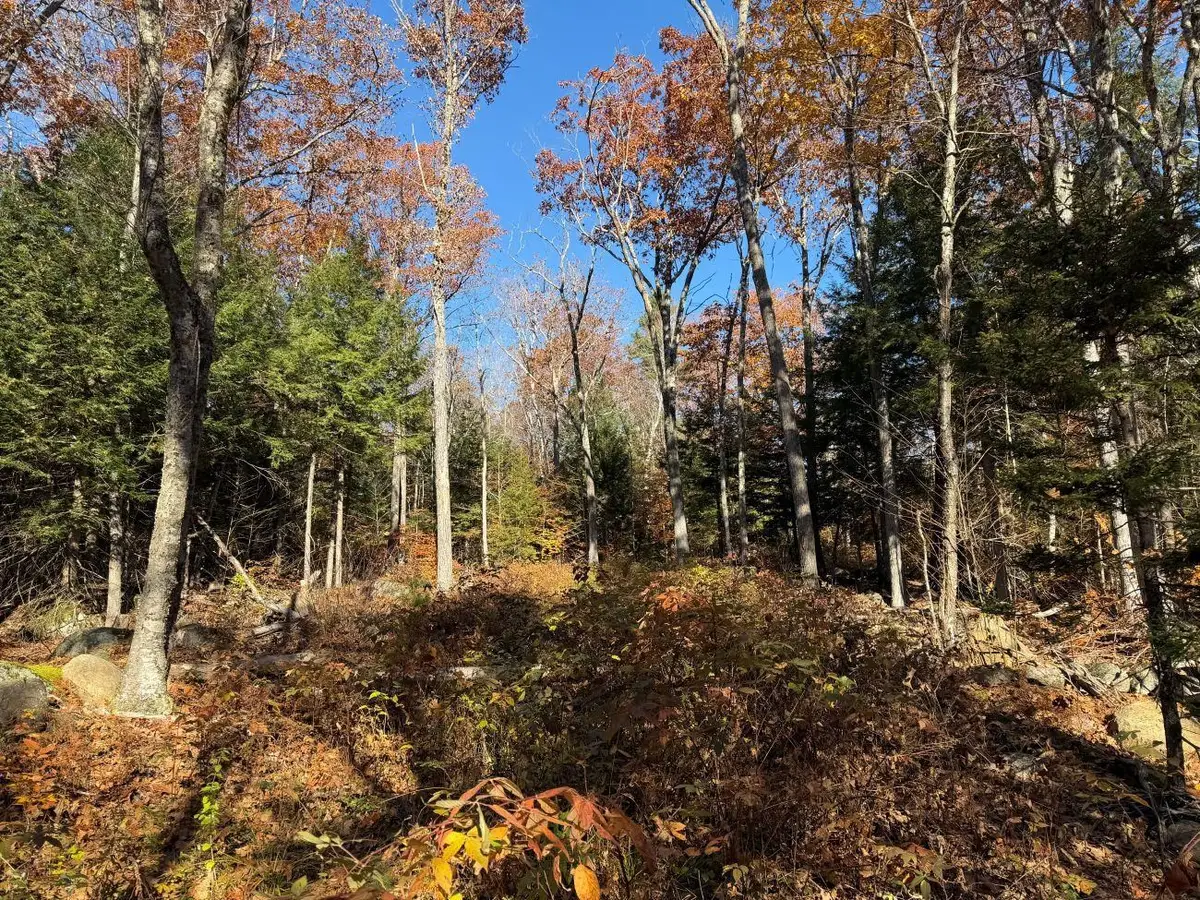 0 Town Farm Road, Stoddard, NH 03464 - #1