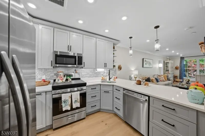 208 Fischer Ct, Mount Hope, NJ 07866 - Image #1