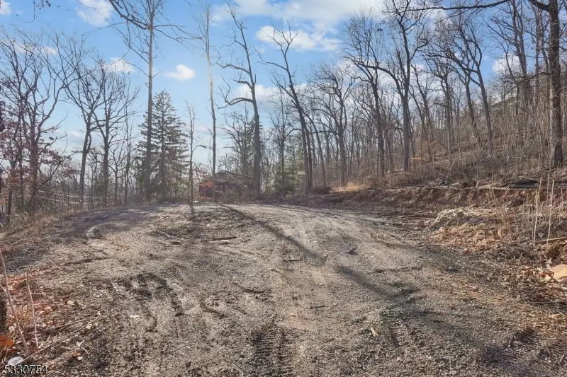 81 Edgemont Rd, Watchung, NJ 07069 - Image #3