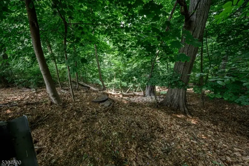 39 Forest Dr, Bloomfield, NJ 07003 - Image #2