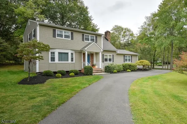 40 France Dr, Branchburg Twp., NJ 08876