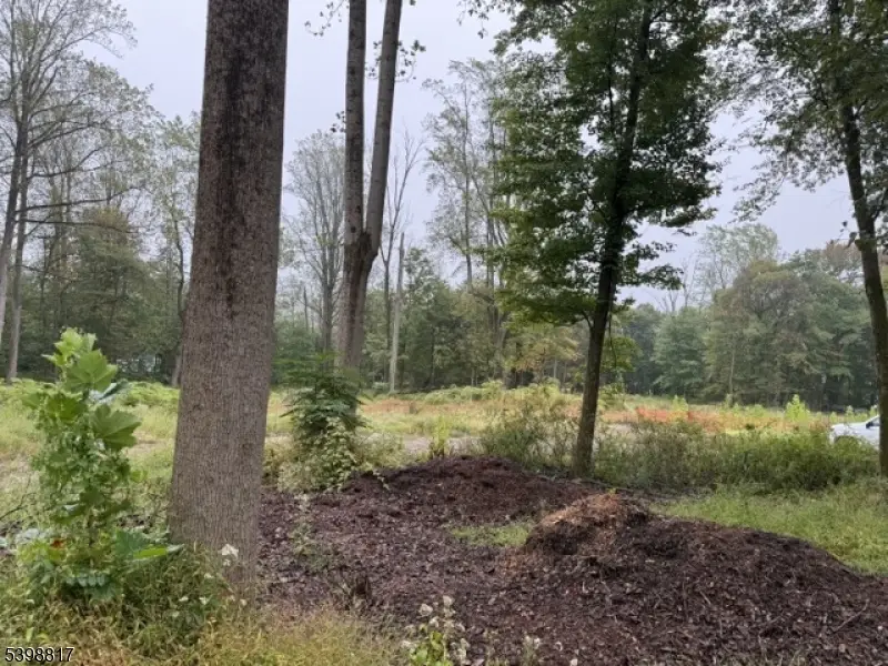 90 Century Ln, Watchung, NJ 07069 - Image #2