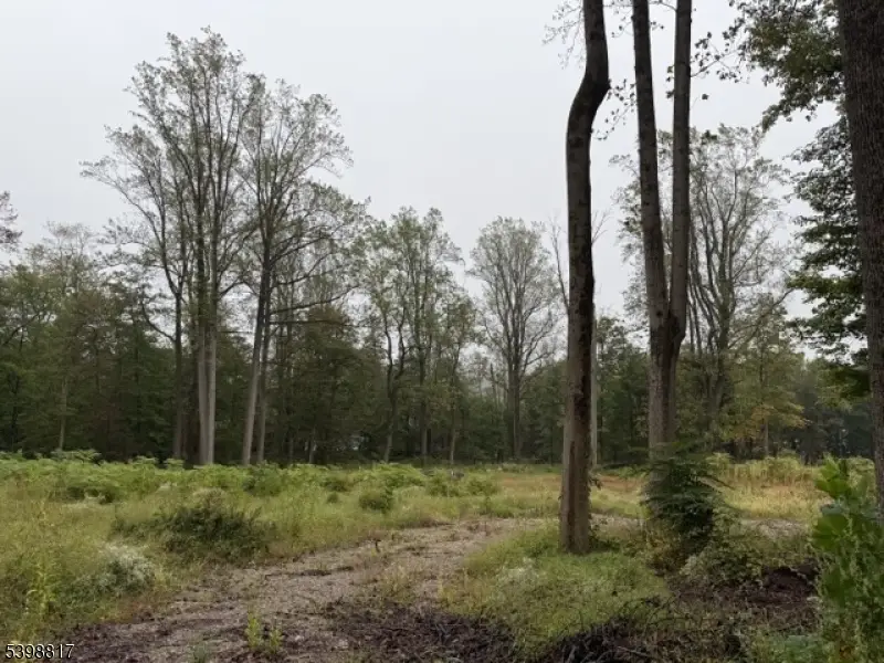 90 Century Ln, Watchung, NJ 07069 - Image #3