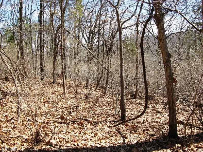 1333 State Route 57, Mansfield, NJ 07865 - Image #2