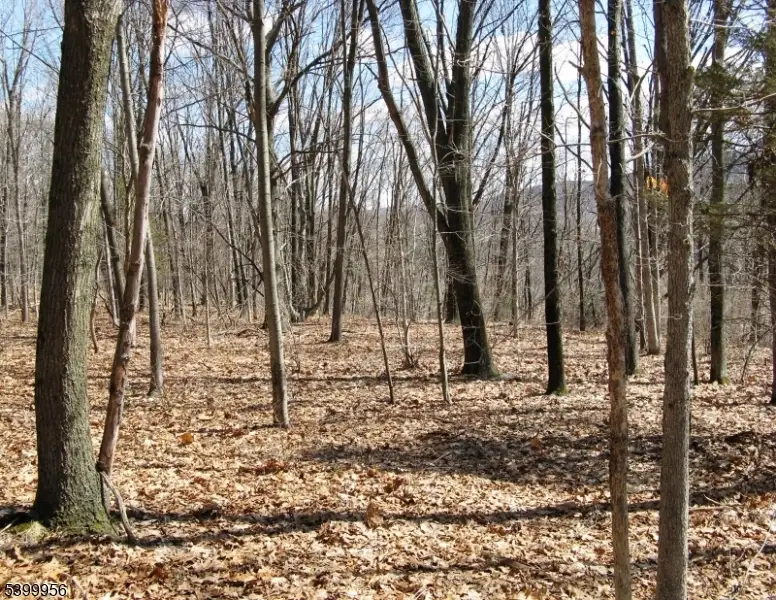 1333 State Route 57, Mansfield, NJ 07865 - Image #3