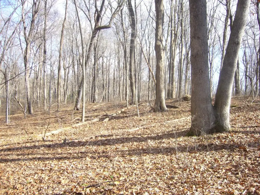 91 S Main St, Milltown, NJ 08850 - Image #1