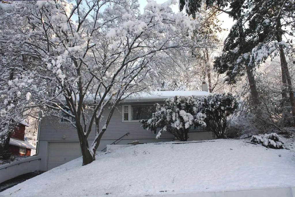 36 Wall St, Cranford, NJ 07016 - Image #1