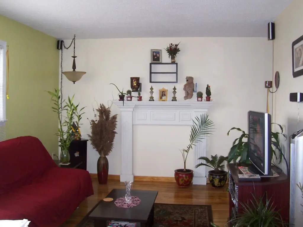 1 Myrtle St, Cranford, NJ 07016 - Image #1