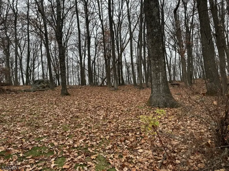 120 Cayuga Ave, White Meadow Lake, NJ 07866 - Image #2