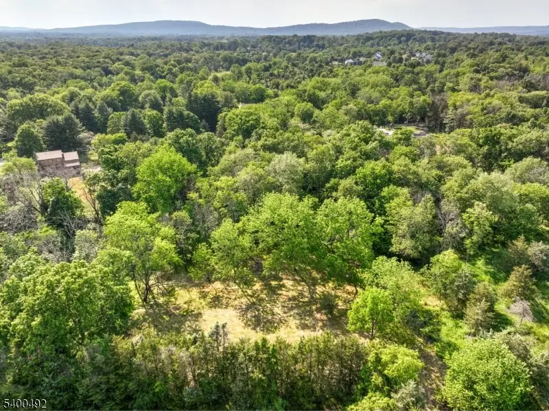 83 Readington Rd, Readington Township, NJ 08889 - Image #2