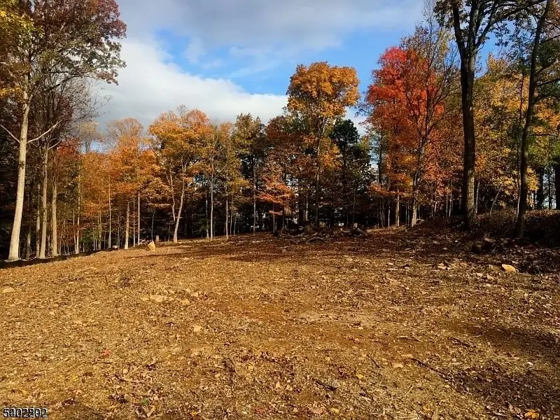 118 Old Stirling Rd, Warren, NJ 07059 - #1