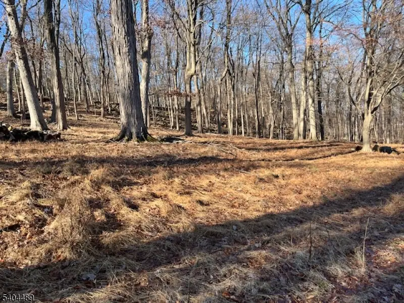 659 Mountain Ave, North Caldwell, NJ 07006 - Image #1