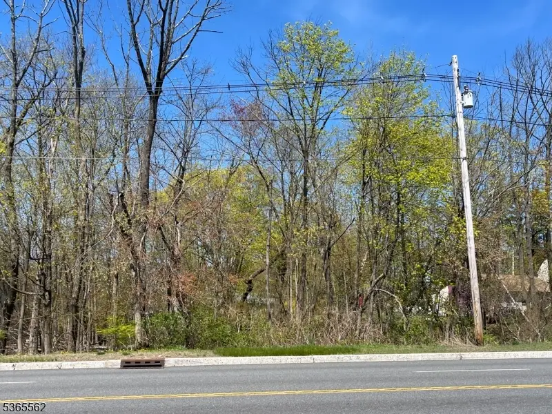 212 Rt 46, Budd Lake, NJ 07828 - Image #2