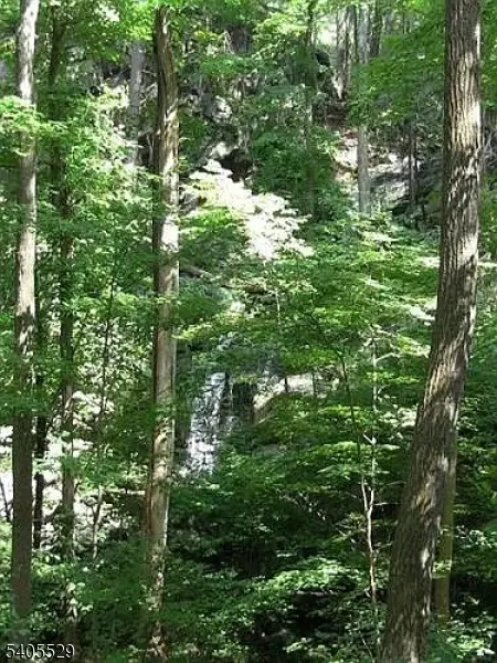 8 Cub Lake Rd, Byram Township, NJ 07821 - Image #3