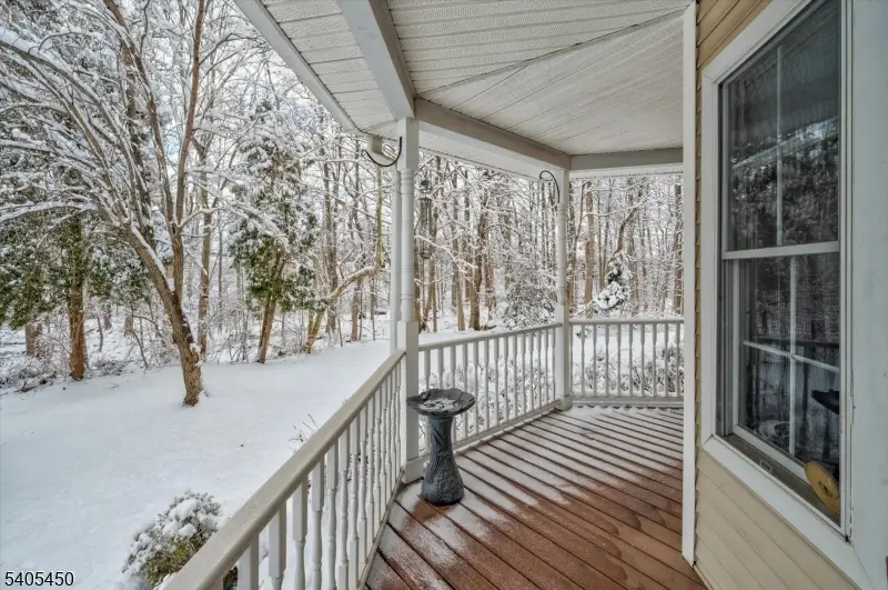 15 Paradise Pl, Roseland, NJ 07068 - Image #3