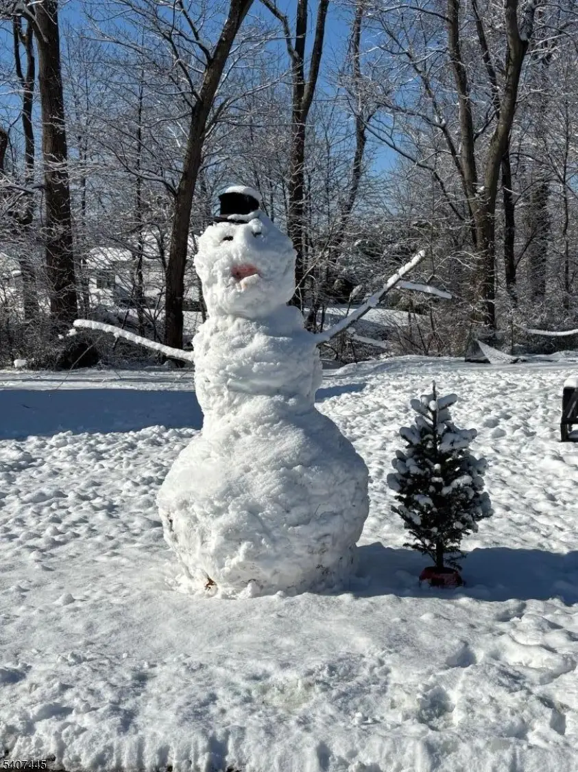 309 Jamestown Rd, Finderne, NJ 08807 - Image #2