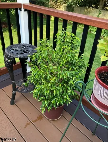 3 Birchwood Dr, Stockholm, NJ 07460 - Image #3