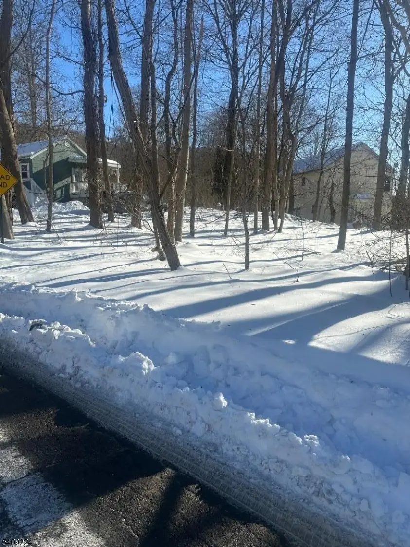 2 Pine Dr, Mountain Lake, NJ 07823 - #2