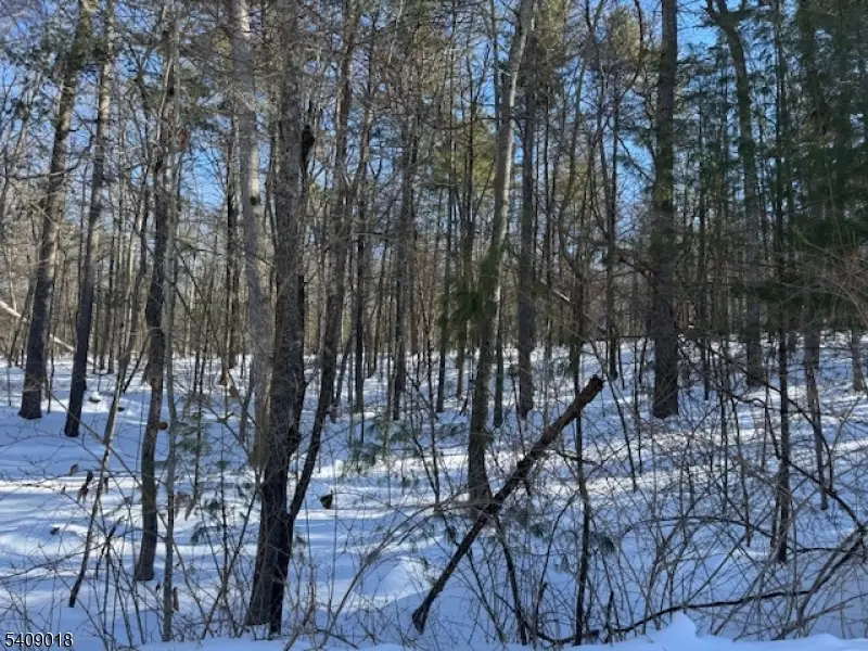 00 Martha St, Sandyston, NJ 07826 - #2