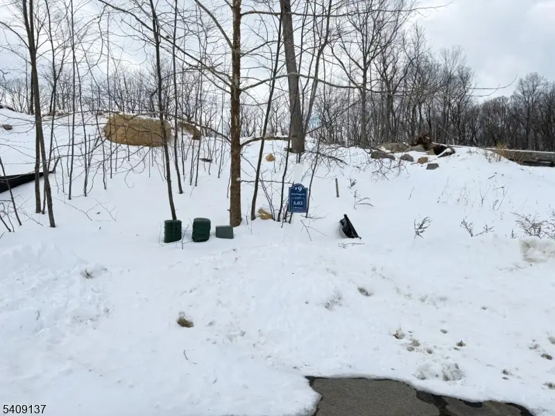 9 Bristol Ridge Rd, Boonton Township, NJ 07005 - #2