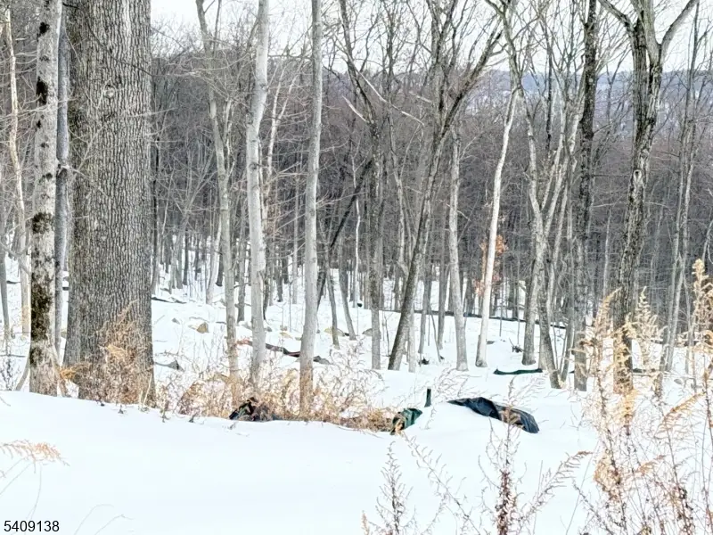 10 Bristol Ridge Rd, Boonton Township, NJ 07005 - #2