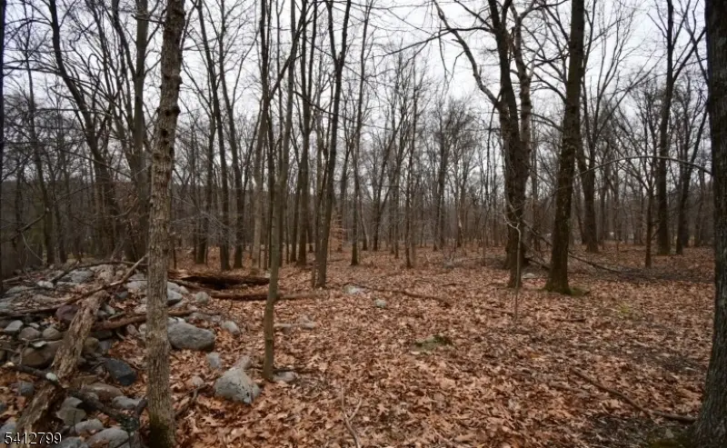 2 Brook Dr, Blairstown, NJ 07825 - #2