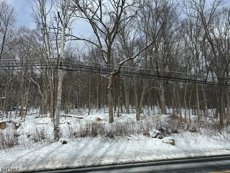 558 Stanhope Rd, Lake Mohawk, NJ 07871 - #3