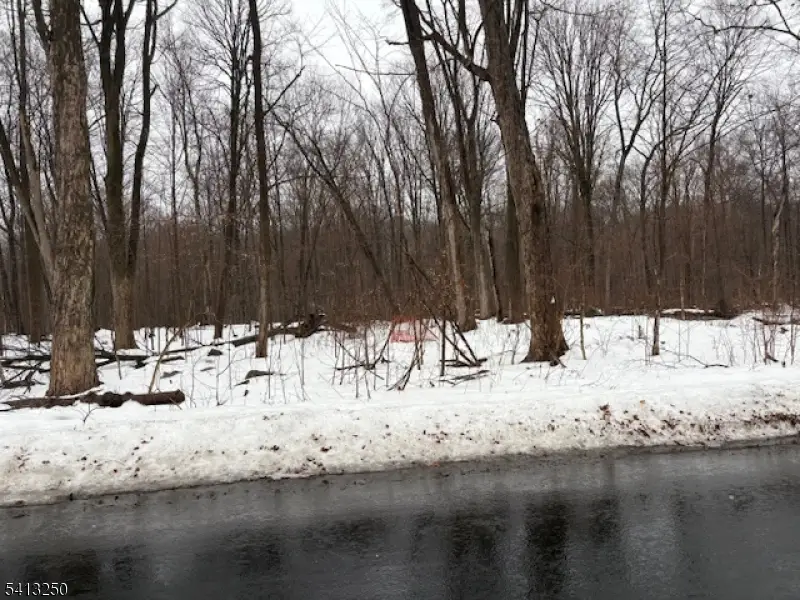 0 Schoolhouse Rd, Oak Ridge, NJ 07438 - #1