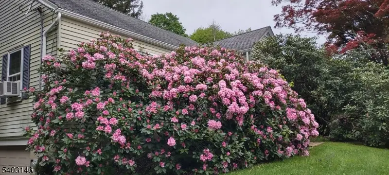 427 State Route 94, Fredon, NJ 07860 - #3