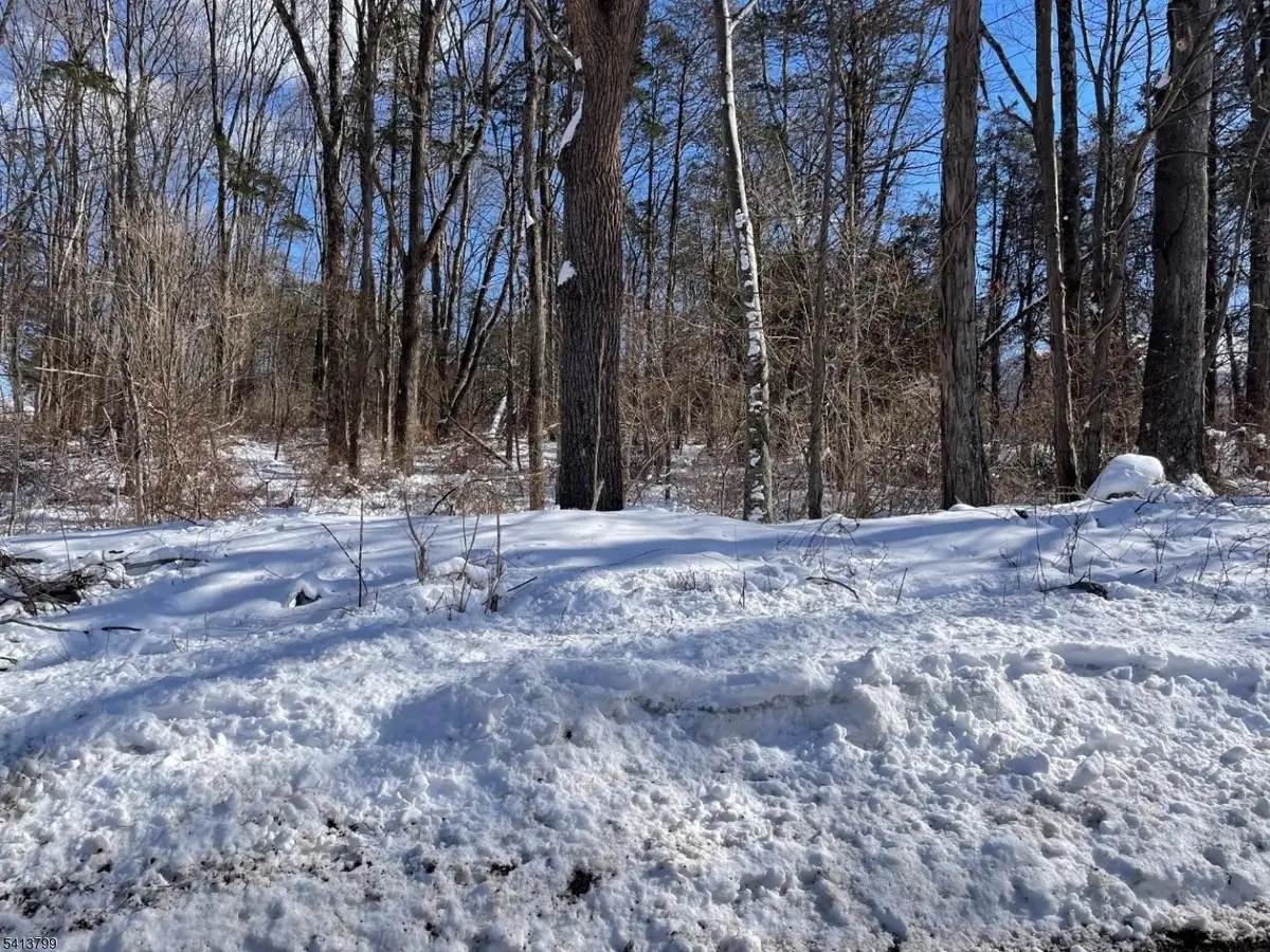 0 Potters Rd, Stillwater, NJ 07860 - #1