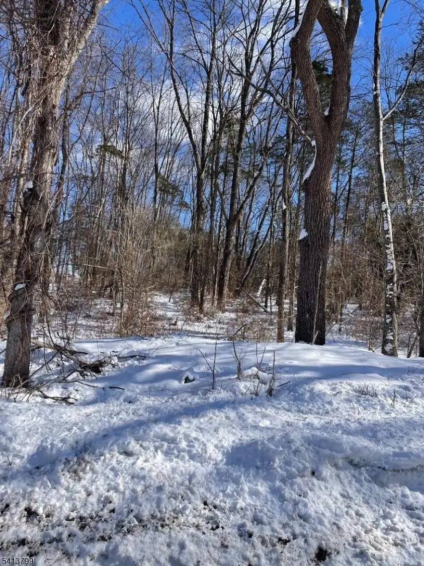 0 Potters Rd, Stillwater, NJ 07860 - #3